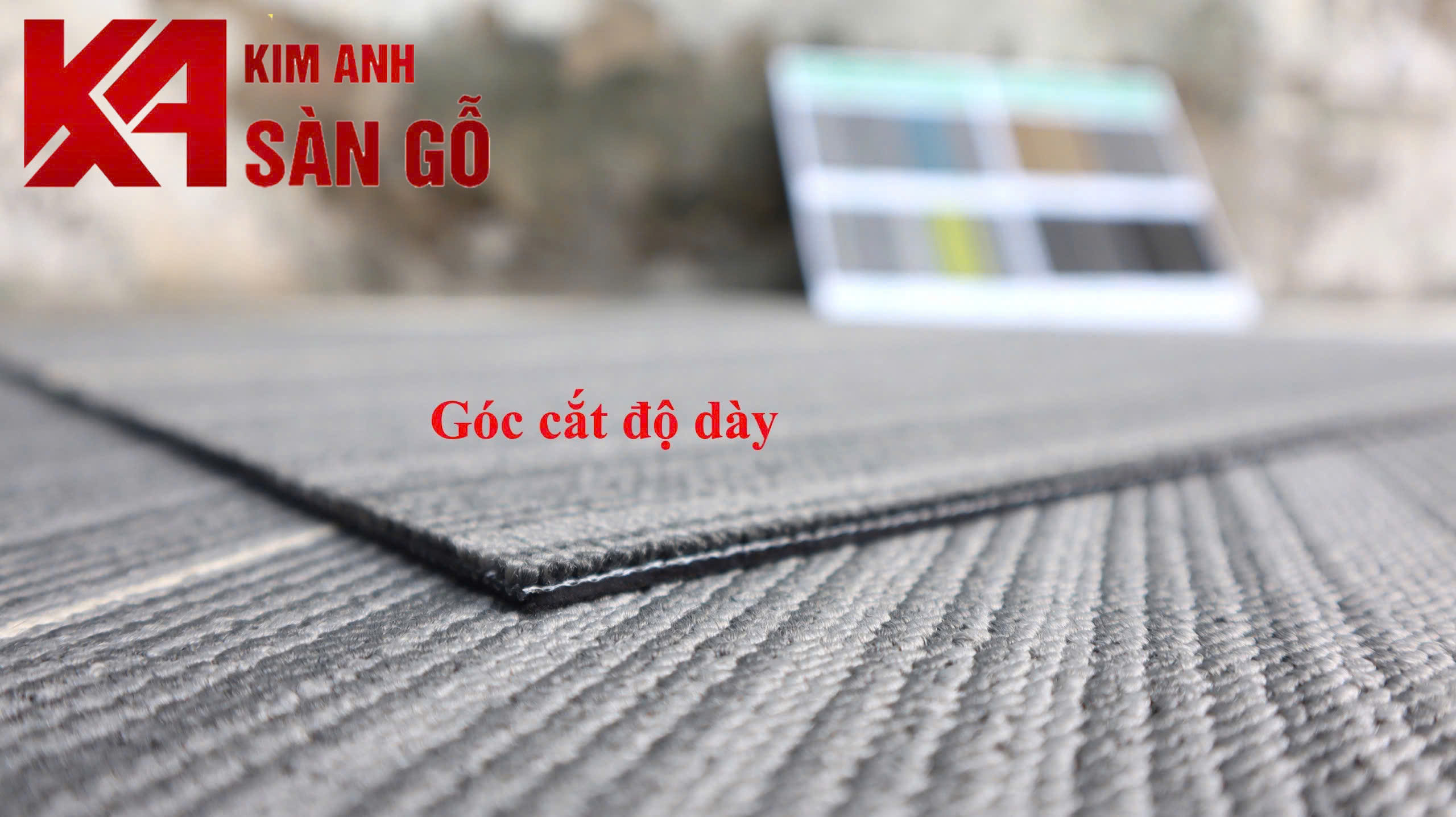 Tấm Thảm Trải Sàn Văn Phòng CL02
